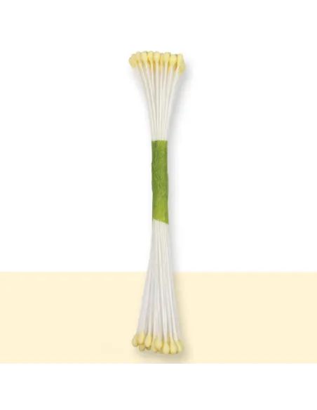 Set 50 estambres finos marfil JEM