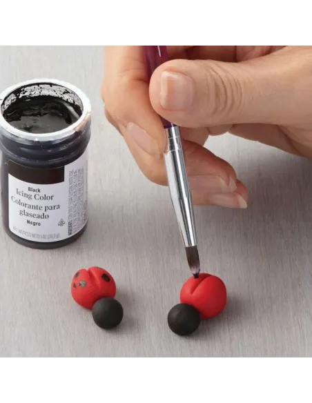 Kit para aprender a decorar con fondant Wilton