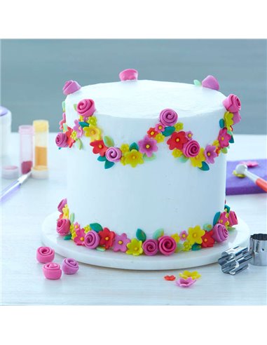 Kit para aprender a decorar con fondant Wilton